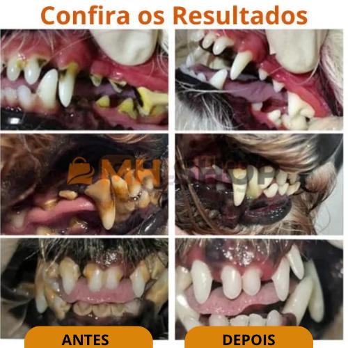 Gel Oral Repair Ultrapotente™ - Removedor de Manchas e Bactérias Dentárias Para Pet [COMPRE 1 - LEVE 2]