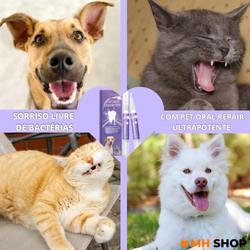 Gel Oral Repair Ultrapotente™ - Removedor de Manchas e Bactérias Dentárias Para Pet [COMPRE 1 - LEVE 2]